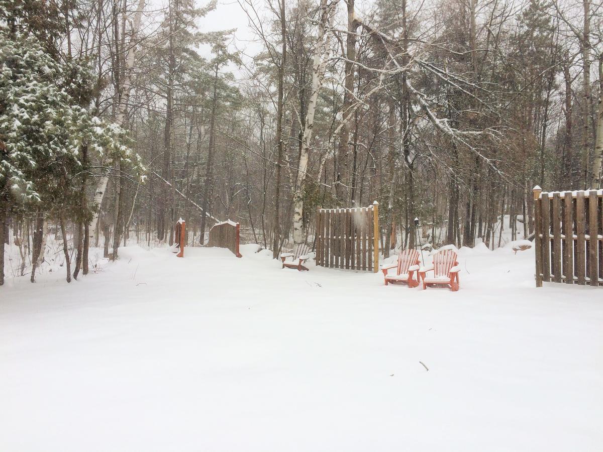 Adirondack Spruce Lodge Wilmington Luaran gambar