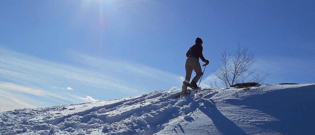 Adirondack Spruce Lodge Wilmington Luaran gambar